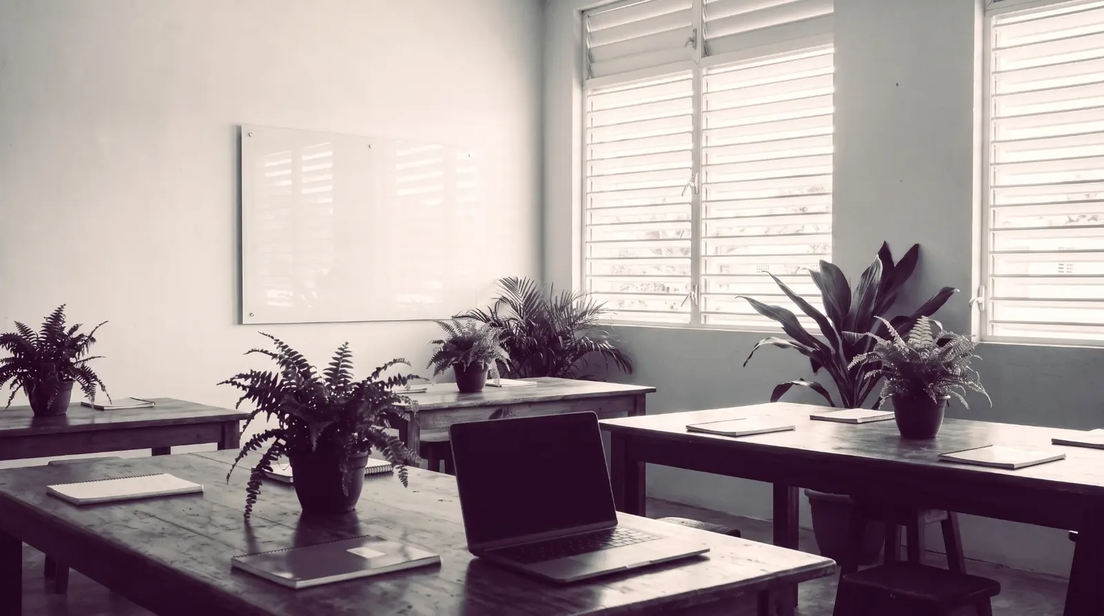 Duotone photograph of a workspace with a laptop, notebooks and a whiteboard beside louvred windows.